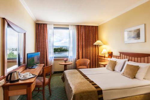 Superior Double Room with Danube View