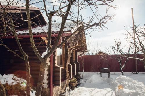 Avgustyn - image 7