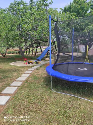 Apartments Zaton Draga