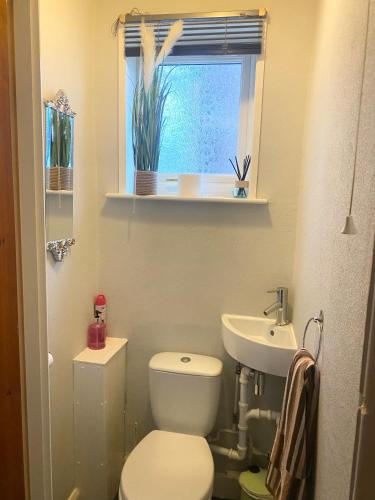 Friars Rest Guest House - image 2