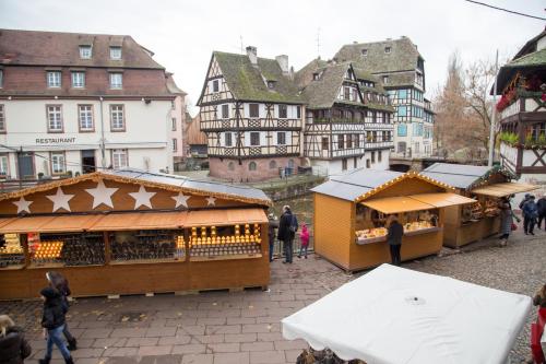 Appartement Le bain aux plantes - image 9