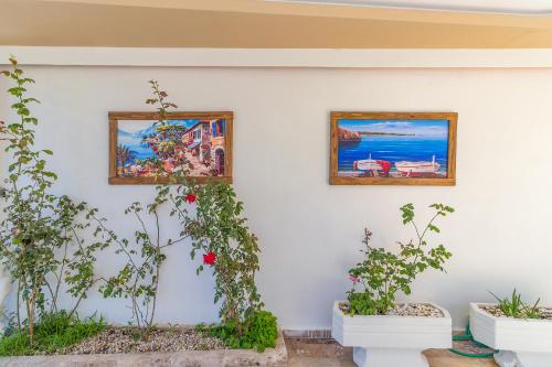 Apartments Near to City Center and Beach