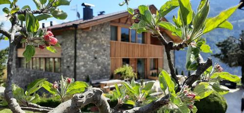 Pröfinghof - Urlaub auf dem Biobauernhof, Parcines (foto 3)