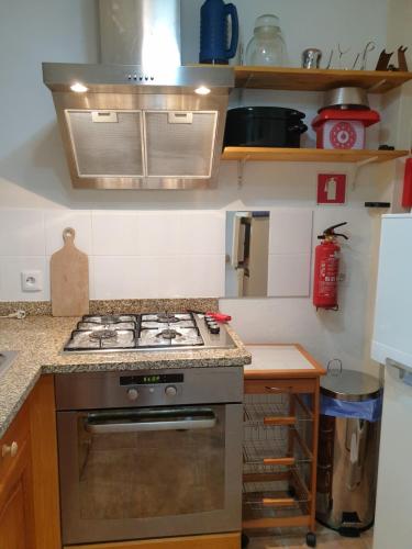 บริการและสิ่งอำนวยความสะดวก, Casa dos Cisnes - Serra da Estrela - São Paio - Gouveia - Portugal (Casa dos Cisnes - Serra da Estrela - Sao Paio - Gouveia - Portugal) in กูเวีย