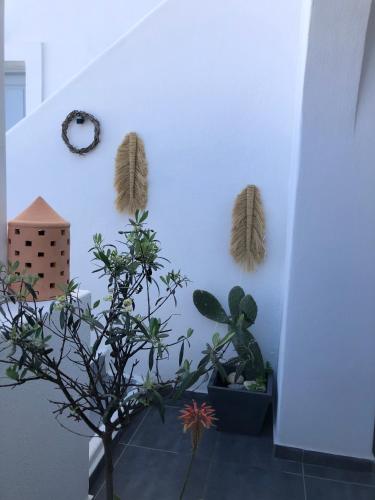 エルカザ ヴィラ