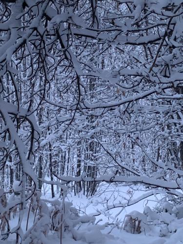  Trifoglietto Casavacanza in Ragalna