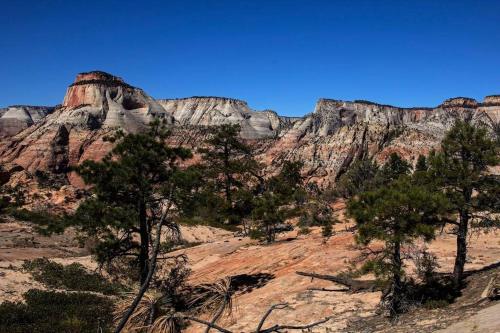 Free Spirit, Walking distance to East Zion trails