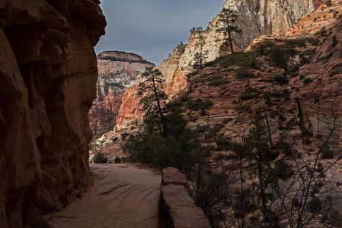 Free Spirit, Walking distance to East Zion trails