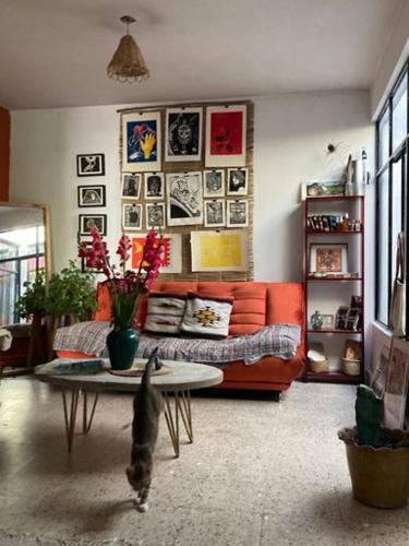 PRIVATE ROOM IN ART STUDIO