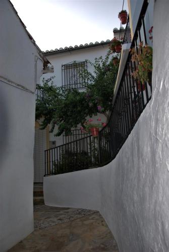 Cruzchiquita in Alpandeire