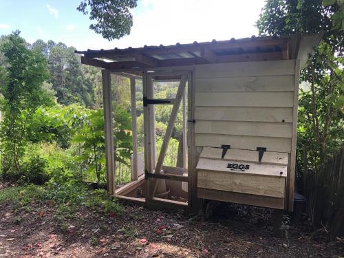 Vrt, Pvc in dolina Currumbin 