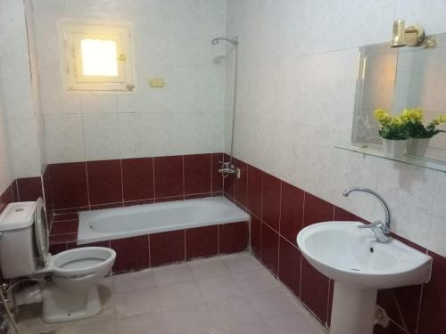 Bathroom, Go Inn Backpackers in Aswan