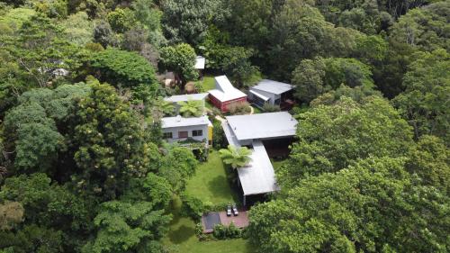 Runawaytomaleny, Maleny