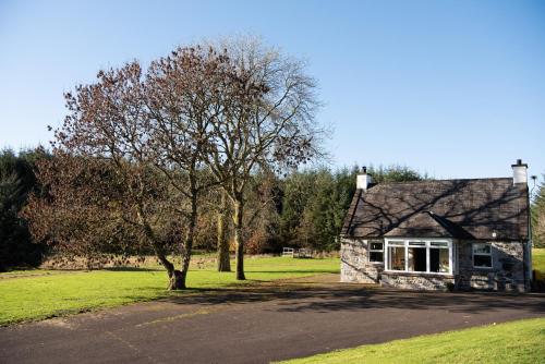 Glen View - image 10