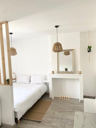Bel appartement cocoon au cœur de Nancy