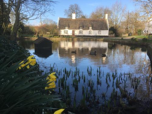 Room in Apartment - Apartment 5, Coundon House Coventry west Midlands chambre d'hôte Coventry