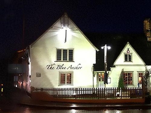 The Blue Anchor - Photo 6 of 17
