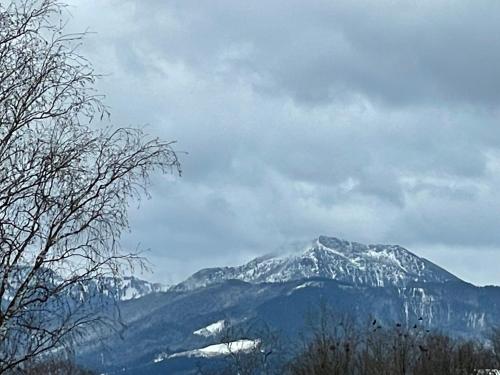 Uitzicht, Stylische Wohnung im Herzen von Bad Aibling in Bad Aibling