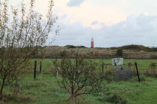 . boerderij de duinen 111
