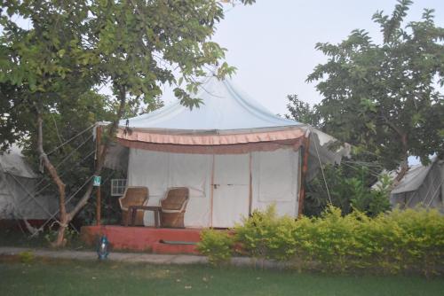 The Jungle Camp - Wildlife Resort