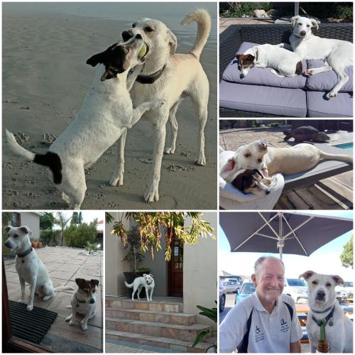 La Roche Guest House La Roche Guest House