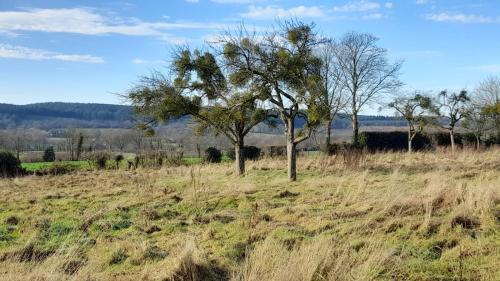 Gîte Cottage chaleureux en pleine campagne vue sur les Monts et Forêts et le château de Carrouges