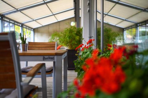 Restaurant, Hotel Atom Trebic in Trebic