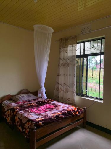 . HEKIMA homestay