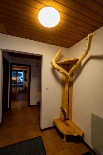  Fyfauter 2 in Schwarzsee