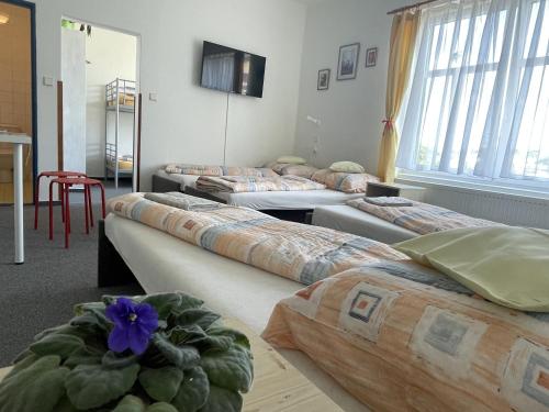 Penzion Slunečnice - image 6