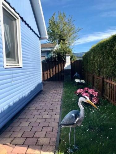 Ferienhaus De Blauwe Reiger Ferienpark Vislust Ijsselmeer