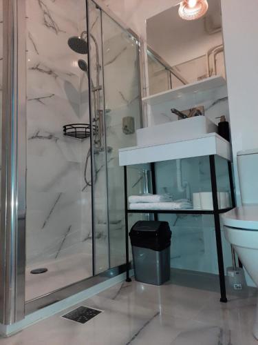 Luxury City Center Apartment – Garofita Romana 1