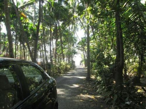 Rudra's Beach Camping Booking