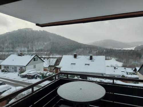 Ferienwohnung See & Bergblick in Winterberg, Deutschland