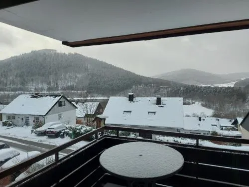 Ferienwohnung See & Bergblick in Winterberg, Deutschland