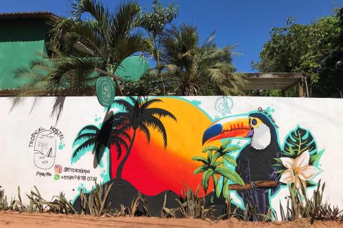 Tropical Hostel – Natal, MT