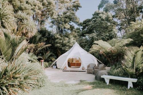 B&B Katikati - Belle Glamping by the Sea - Bed and Breakfast Katikati