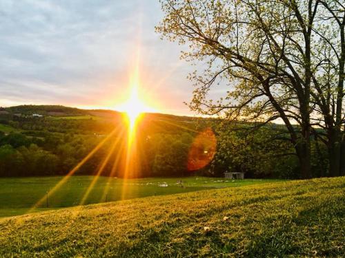 Tentrr - Emerald Views - image 6