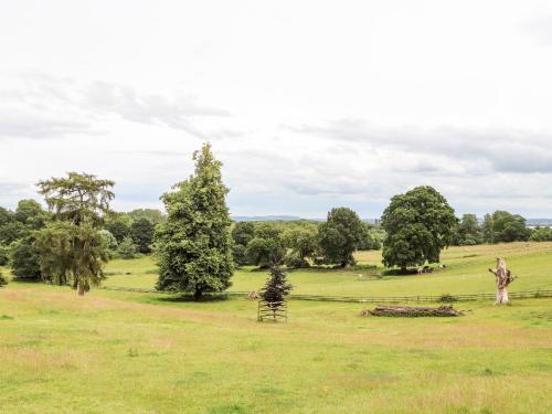 Cook's Flat - image 7