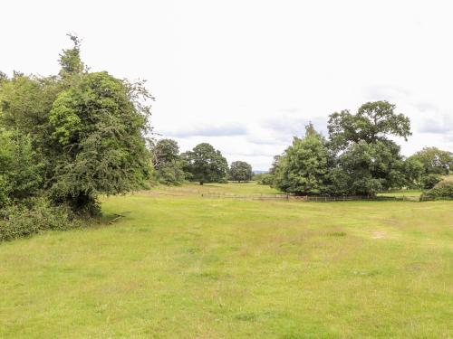 Cook's Flat - image 4