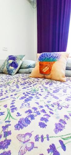 Rent Rooms Barracuda - main image