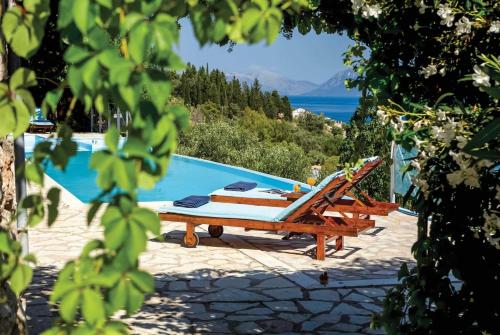 Olive - image 8
