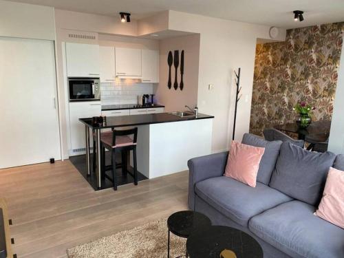 VH apartment - center of Antwerp - free parking, Amberes (foto 9)