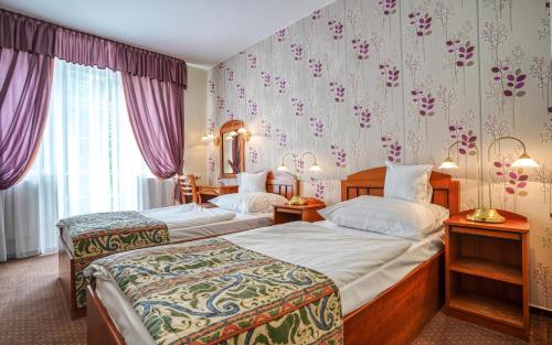 Hotel Erzsébet - image 10