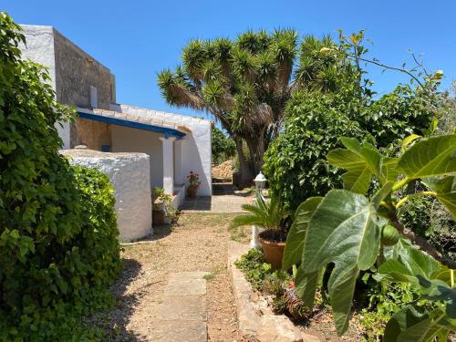 Can Xicu Castello - Formentera