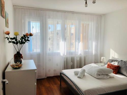 LOVELY apartment near Iulius TOWN - Biggest Shoping Center IP19 - Apartment - Timişoara