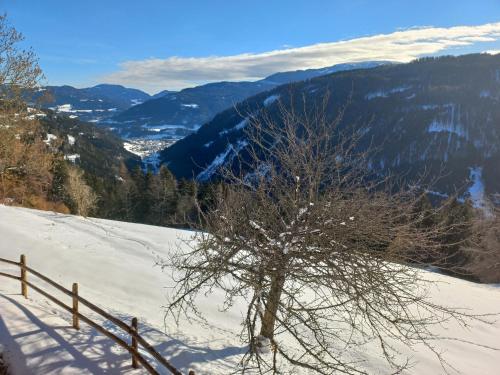 Skats, Berghütte Reissnerhof (Berghutte Reissnerhof) in Ranten