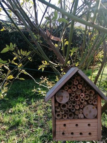 B&B Tre Conigli sul Comò - image 6