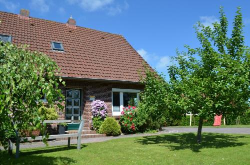 B&B Stedesdorf - Birgits Huuske - Bed and Breakfast Stedesdorf