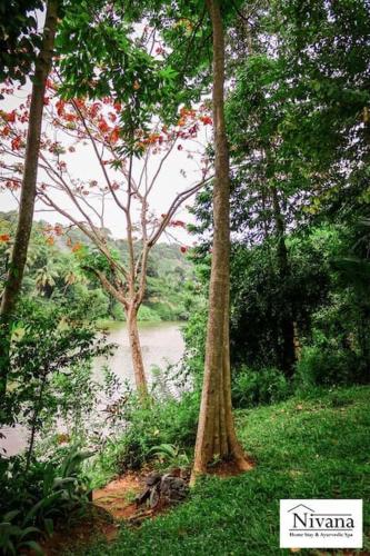 NIVANA HOMESTAY REST AND REFRESH